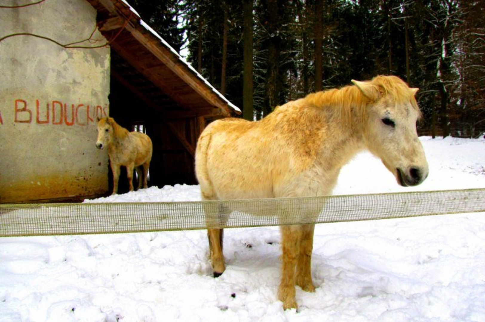 Budučnost by