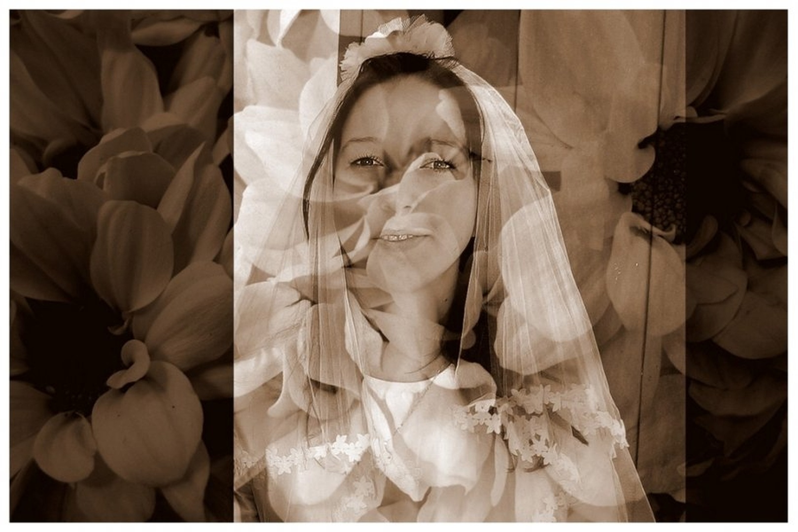 Nevesta by
