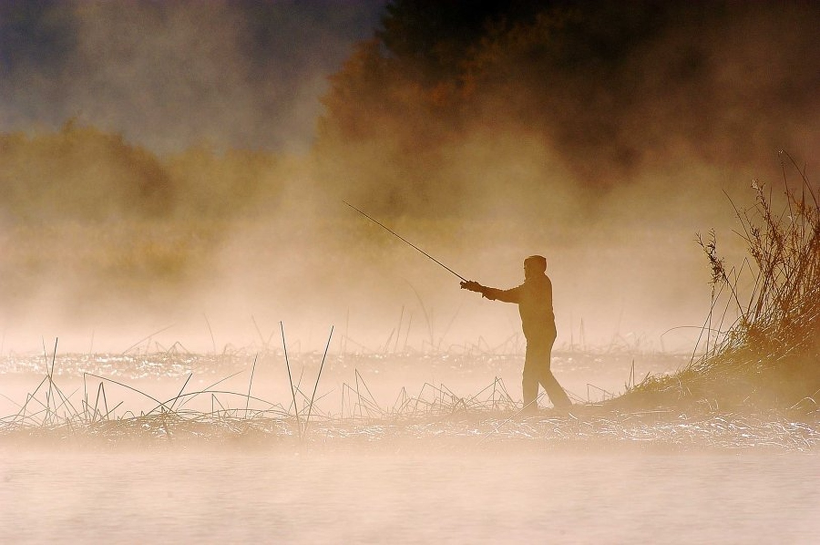 Morning mist by Elcuho