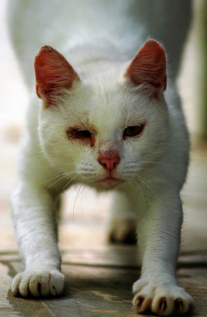 Stretching by Elcuho