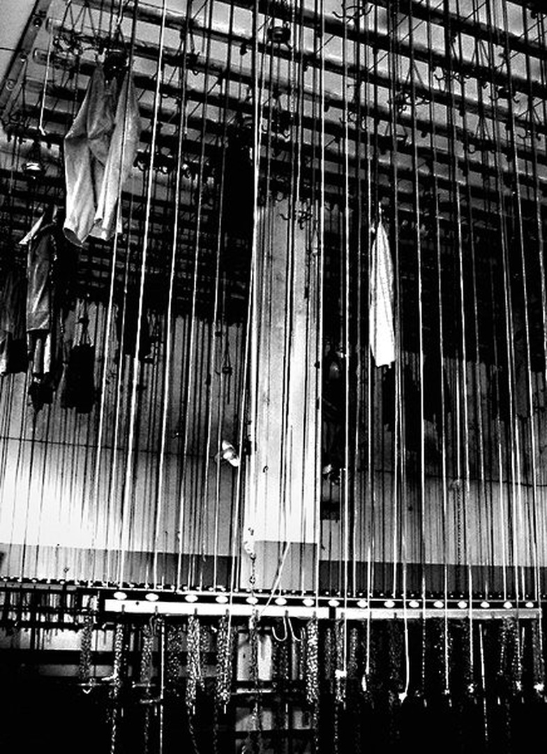 Kam so šle vse rožice... by Ciril Jazbec