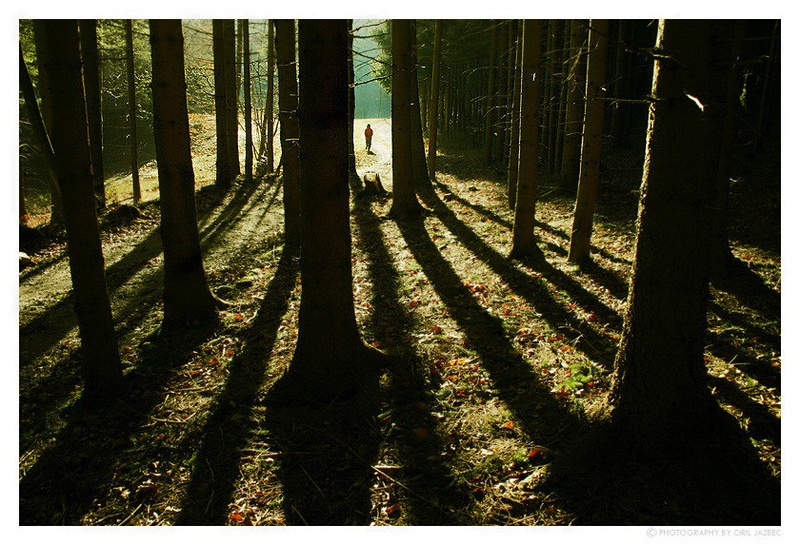 Walk on... by Ciril Jazbec