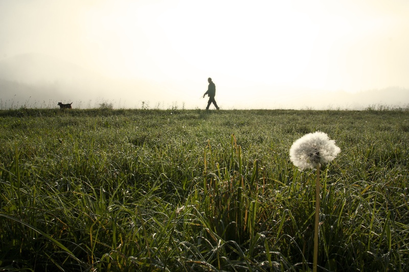 Dobro jutro ... by Jurij