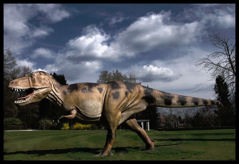 Dinosaur  run!!! by trobetica