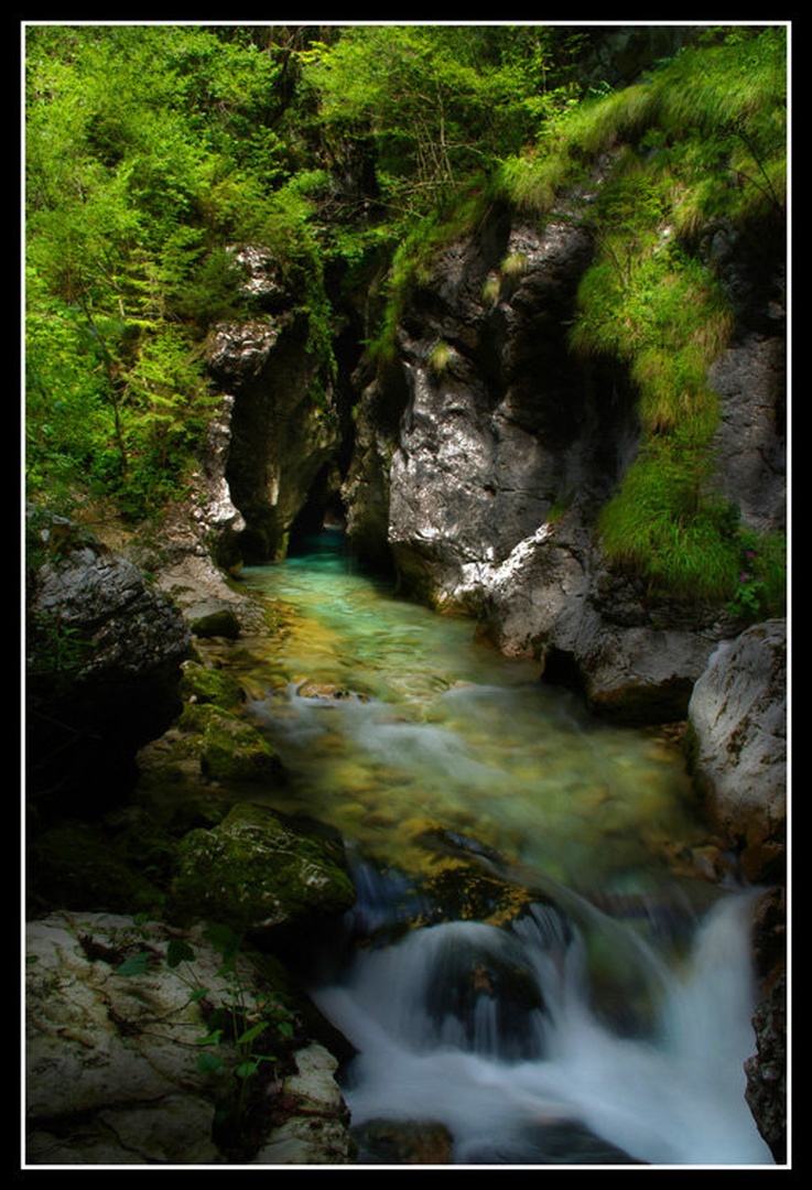 Soteska Predaselj II by