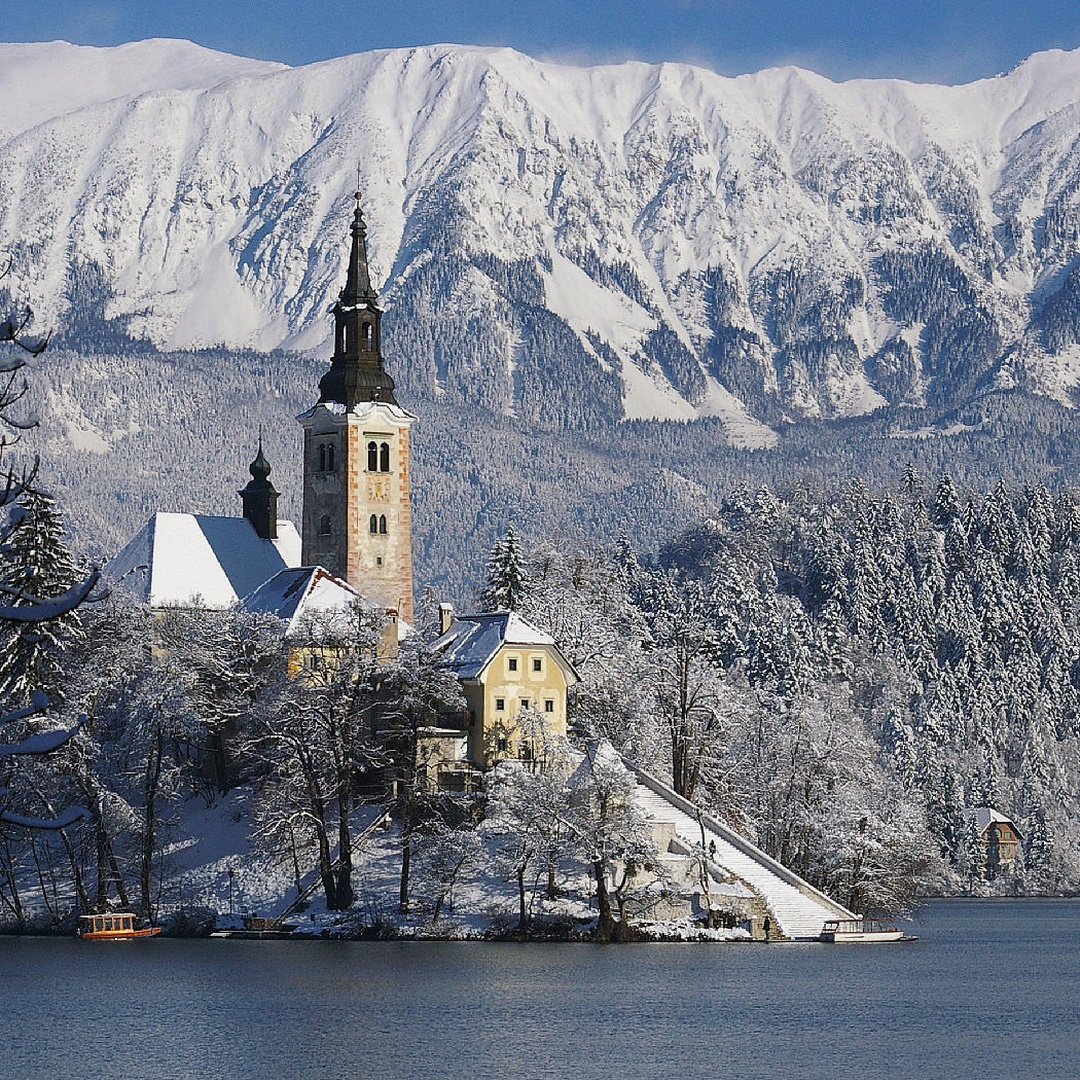 Zaščitnica by Anuška Vončina