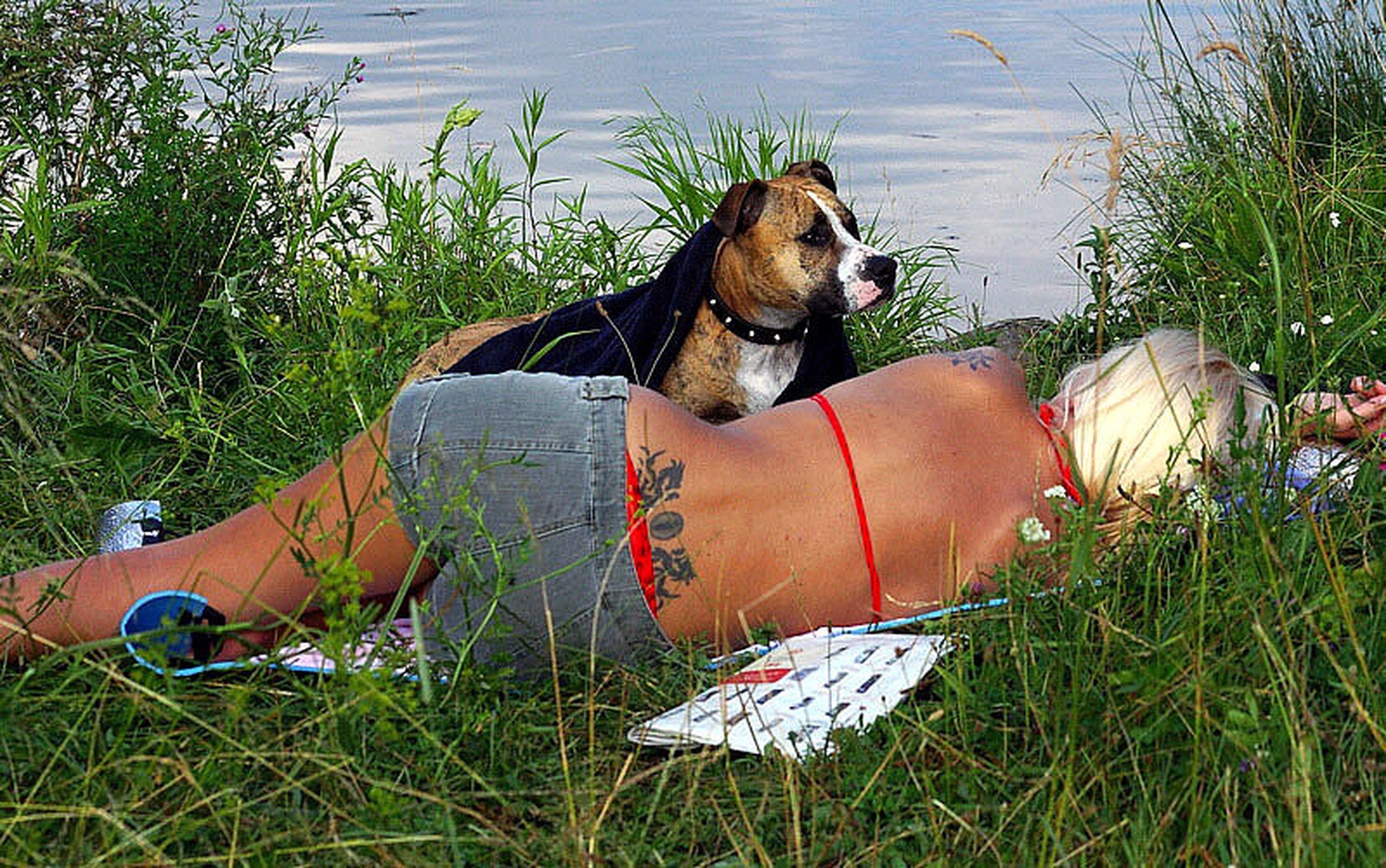 Siesta by Anuška Vončina