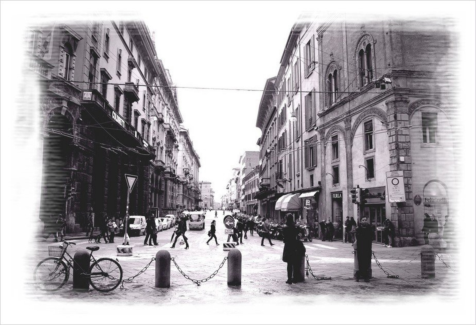Busy lifE by simona turk