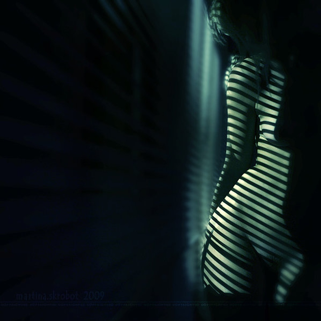 -whisper of the moonlight- by Martina Škrobot