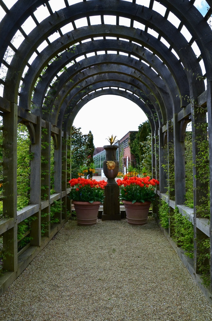 Botanical Garden - Arundel castle by Marjan