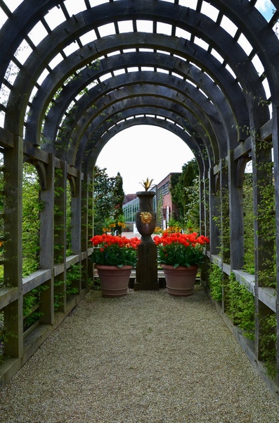 Botanical Garden - Arundel castle by Marjan