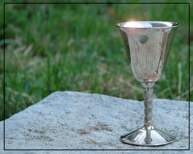 Holly grail by dragan