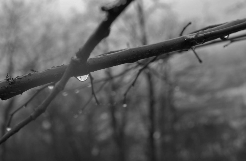 Single drop by Uroš Drnovšek
