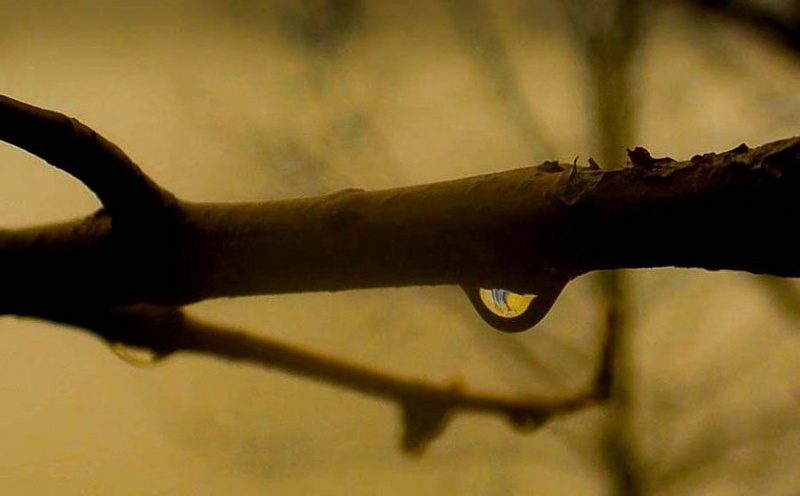 Light in the drop by Uroš Drnovšek