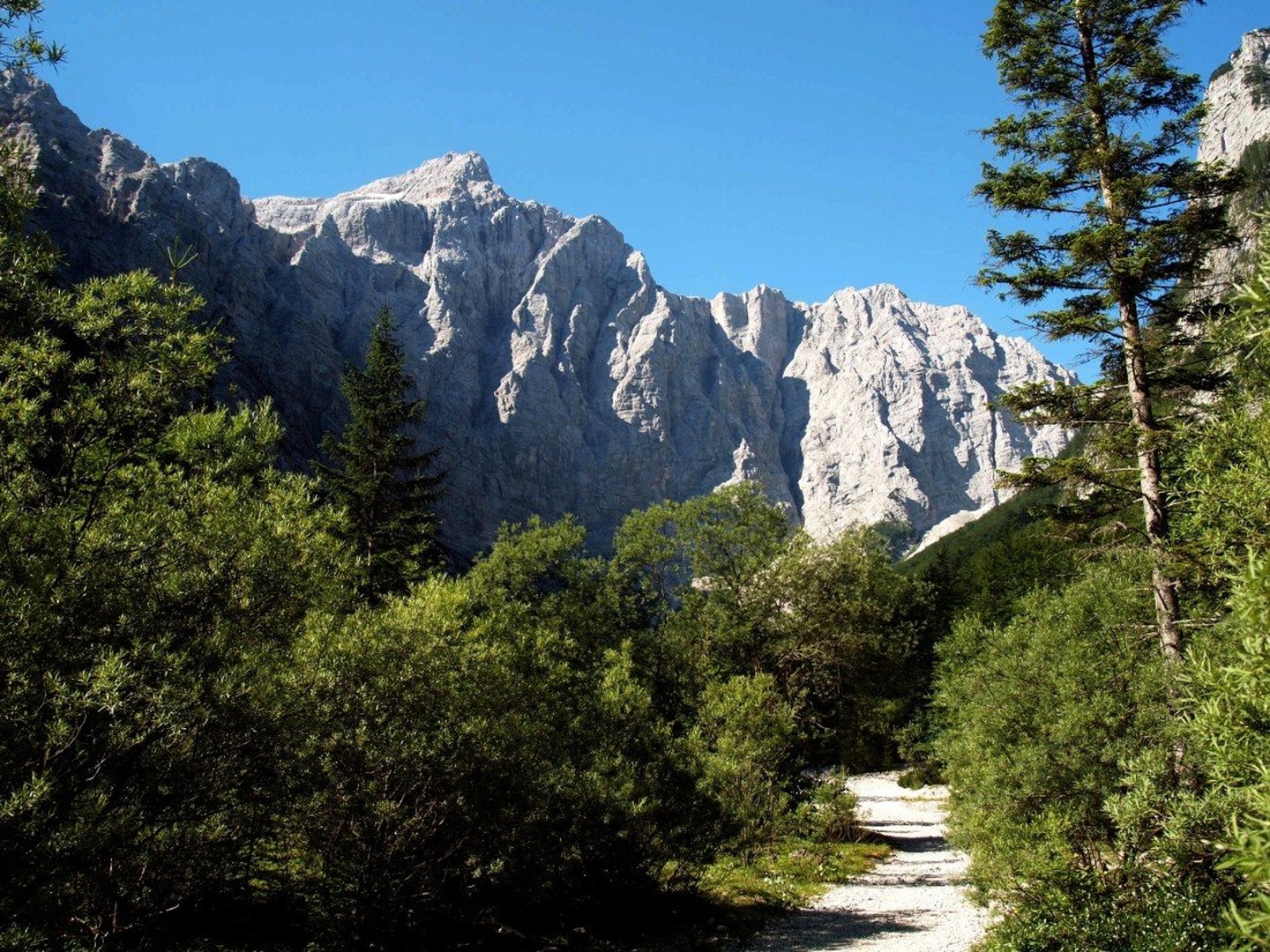 Triglav s severno steno by Franci Medved