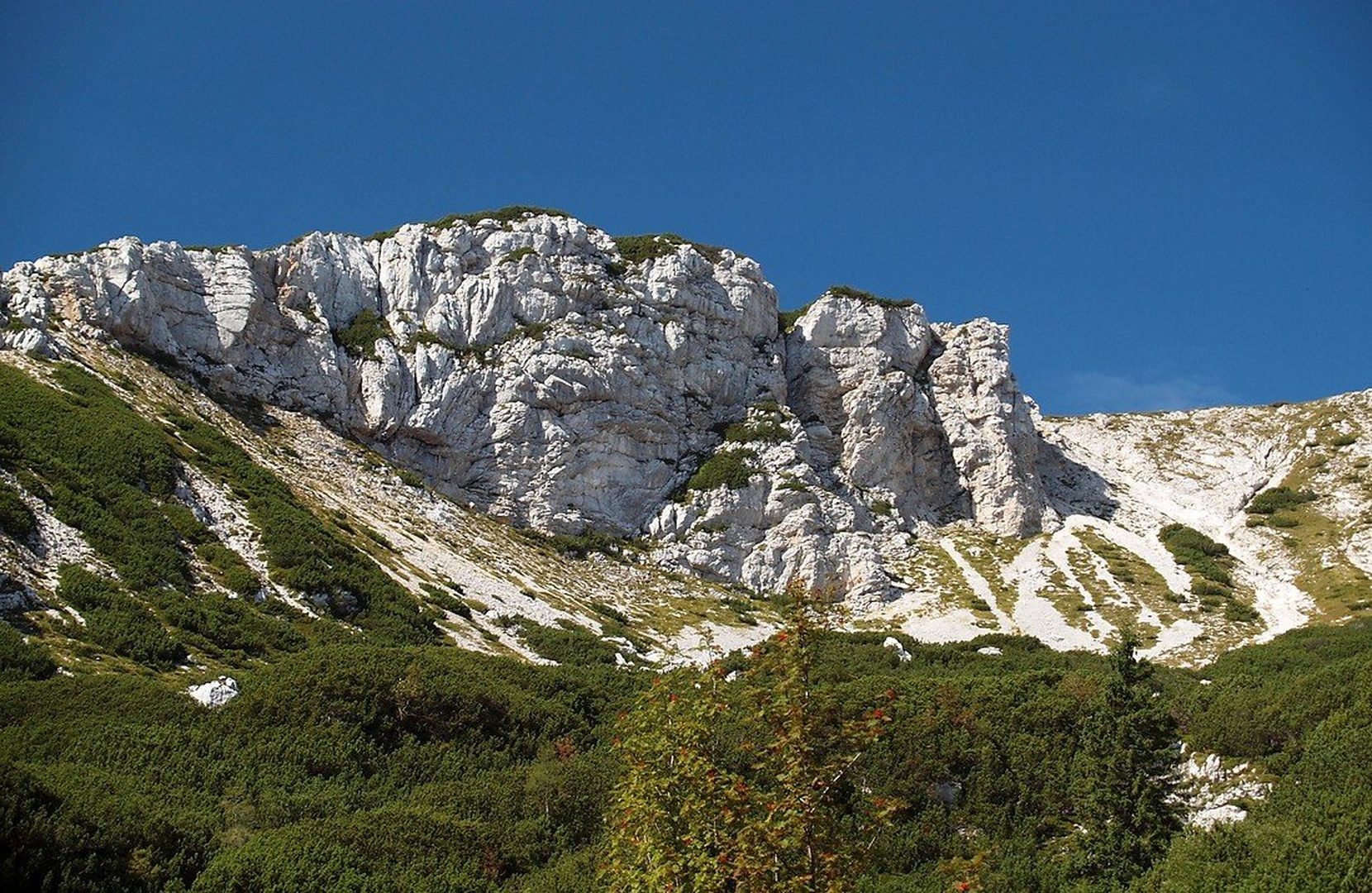 Deska 1970m by Franci Medved