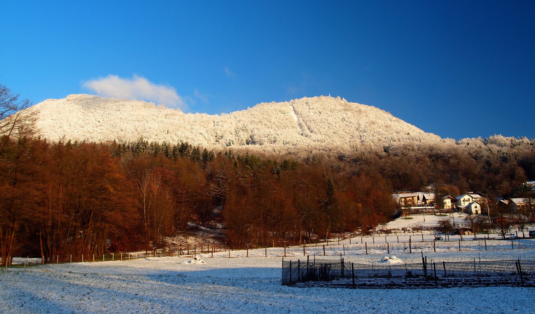 Šmarna gora by Franci Medved