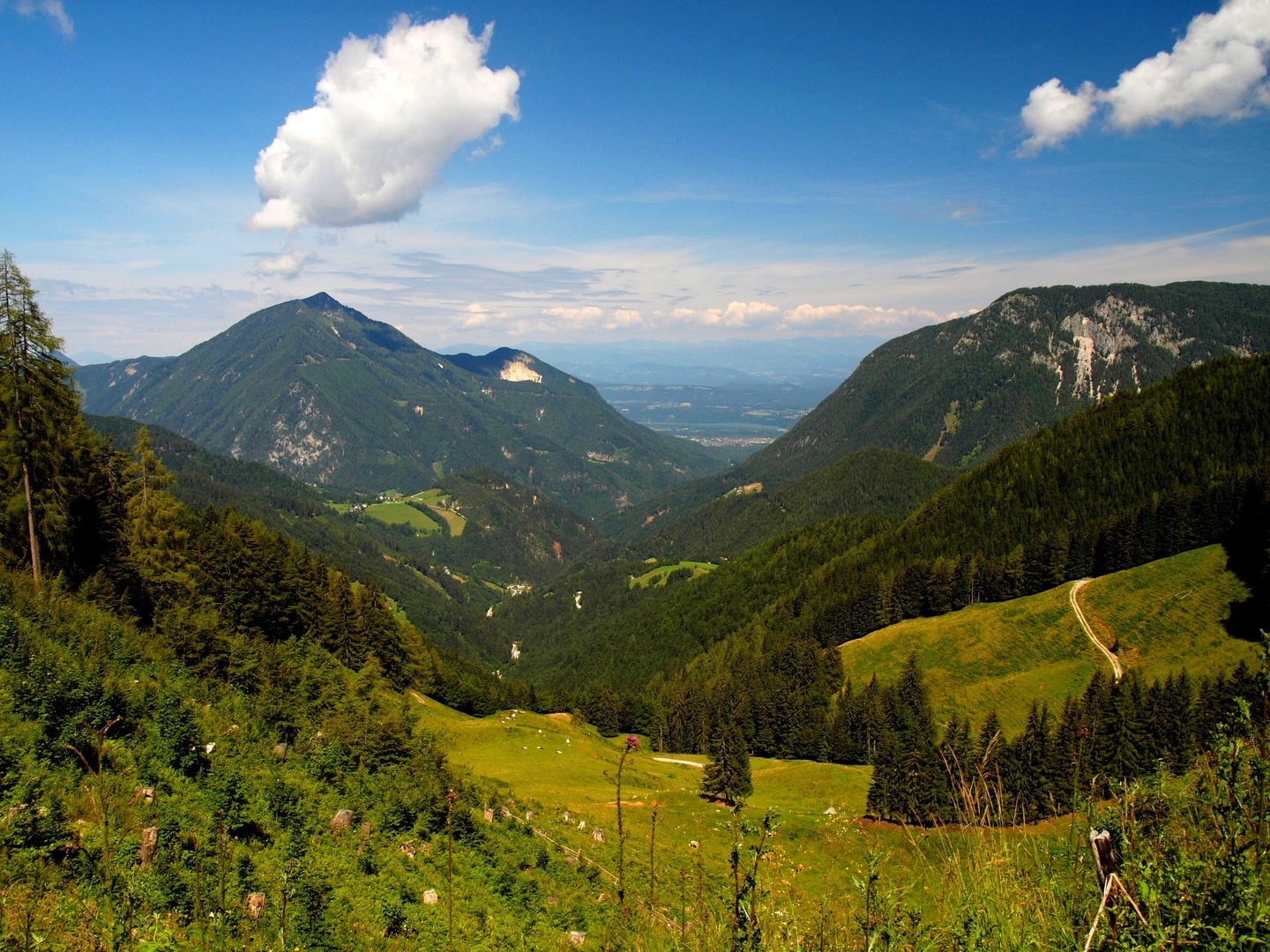 Kobovnikova planina by Franci Medved