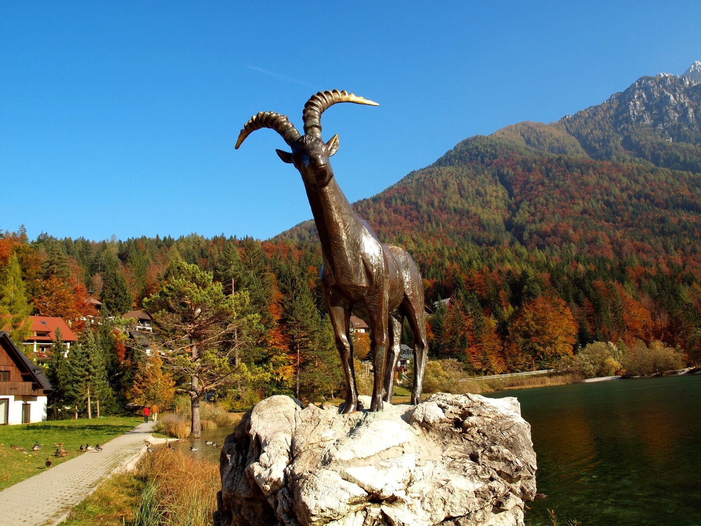 Jasna by Franci Medved