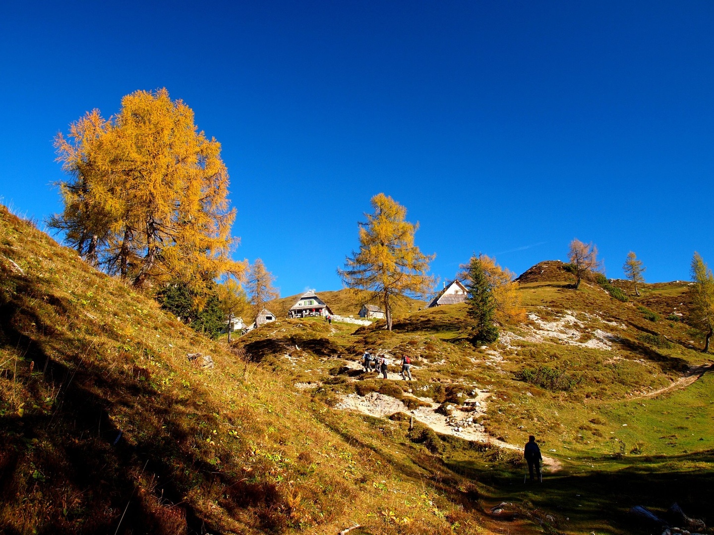 Planina Krstenica by Franci Medved