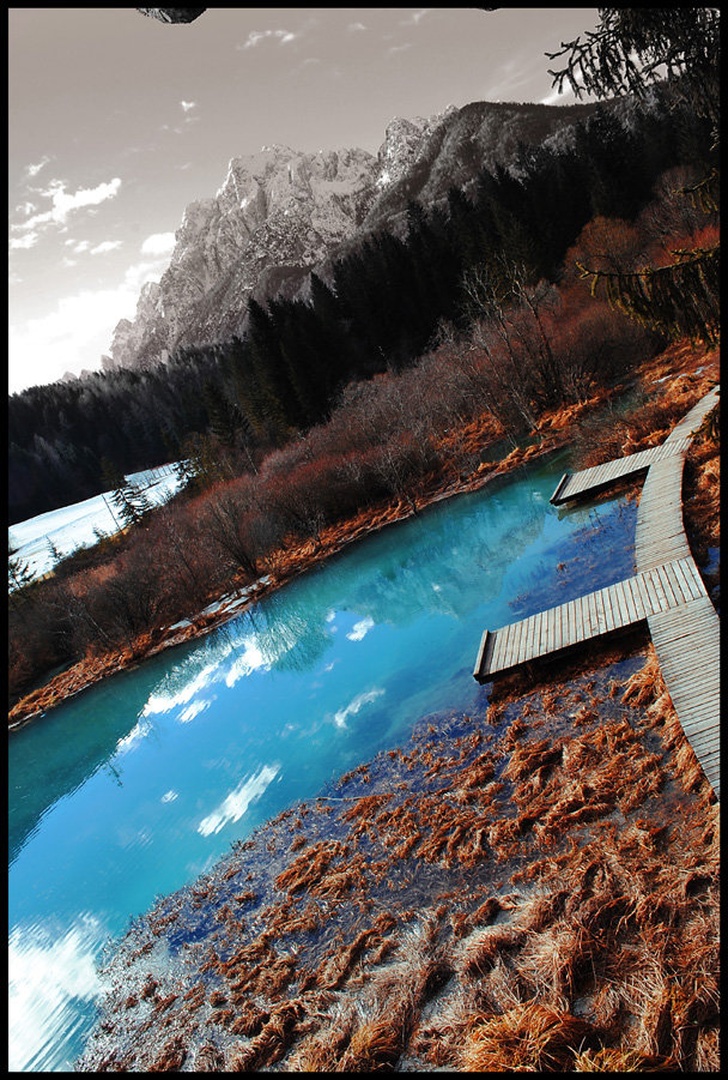 Zelenci by