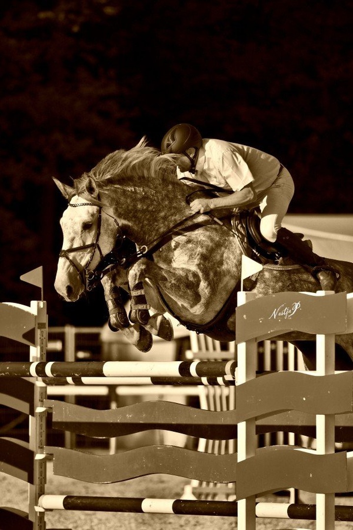 Show jumping by Nastja Pungračič