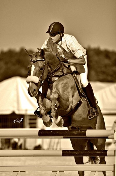 Show jumping by Nastja Pungračič