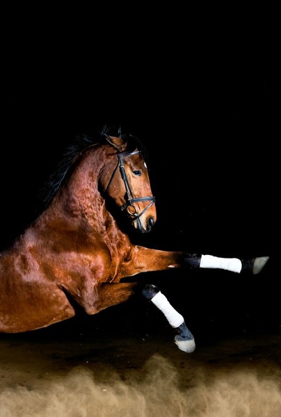 Let's play! by Nastja Pungračič