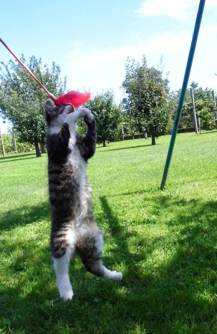 Jump! by