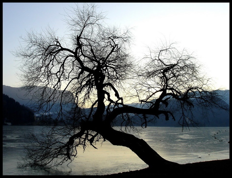 Tema nad Bledom by fogwolf