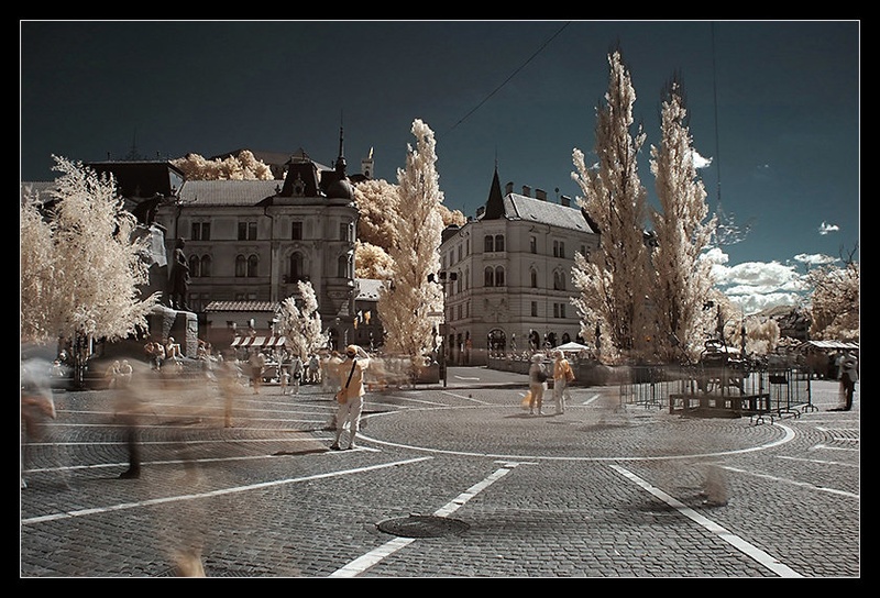 The Photographer by Gregor Harih