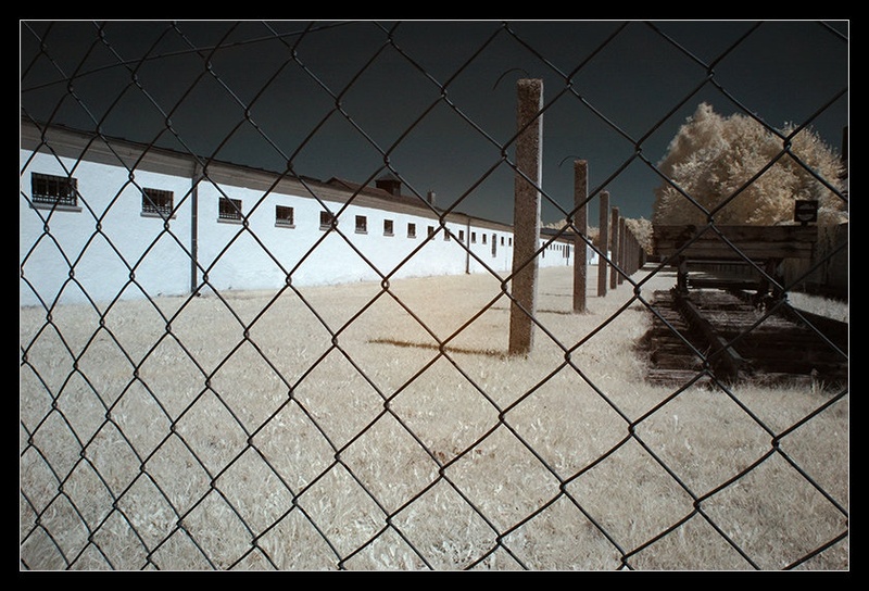 Behind the fence of horror by Gregor Harih