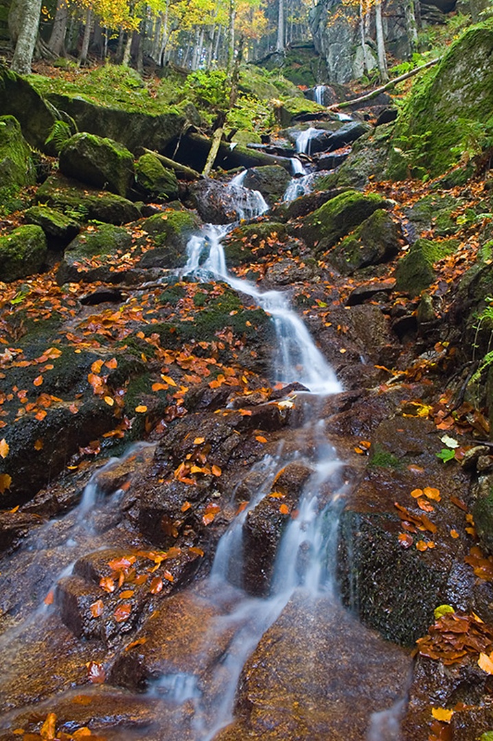 Jesenska idila by Gregor Harih