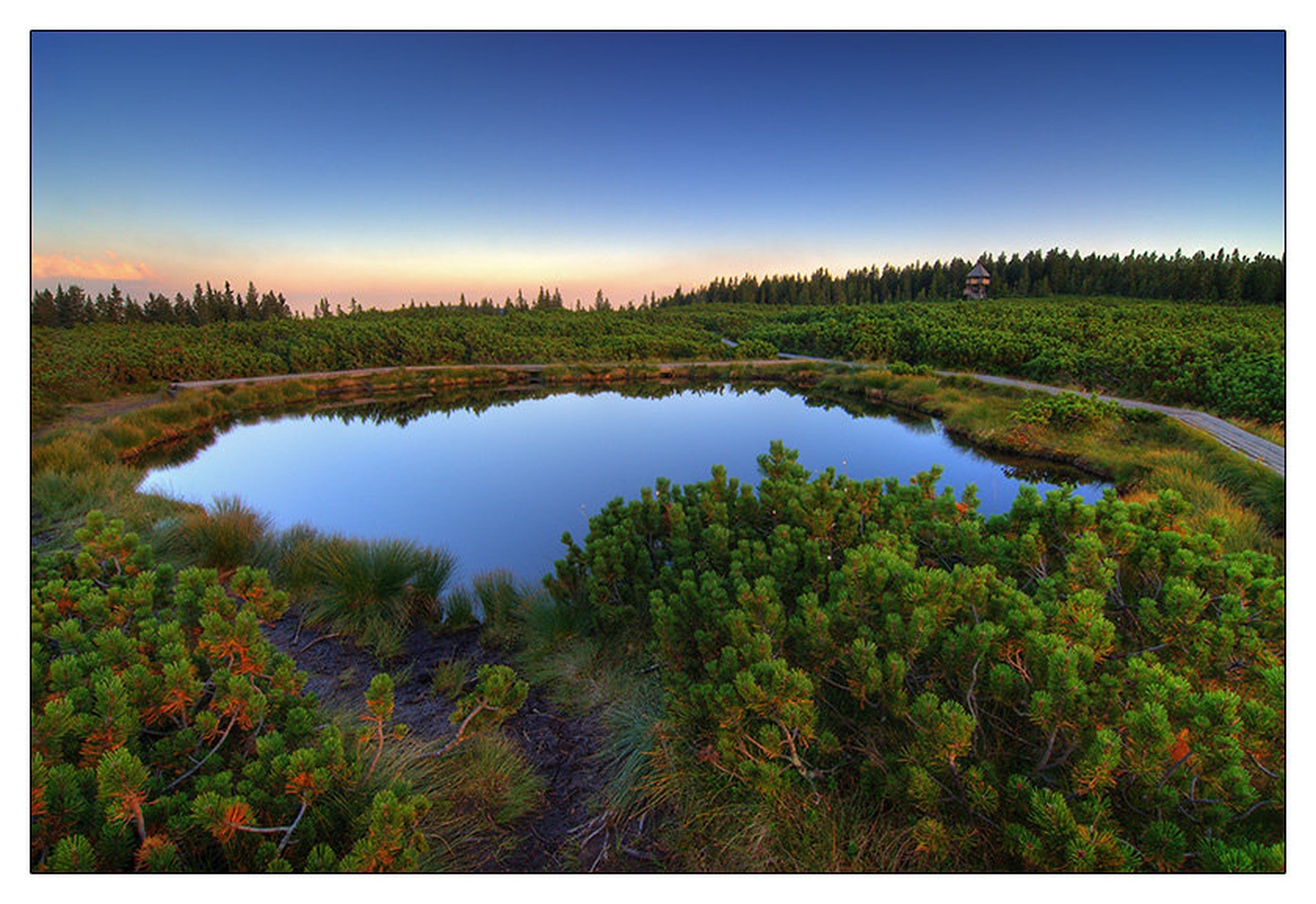 Pure nature by Gregor Harih