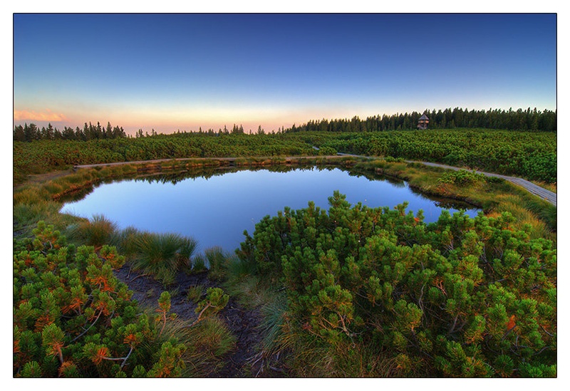 Pure nature by Gregor Harih