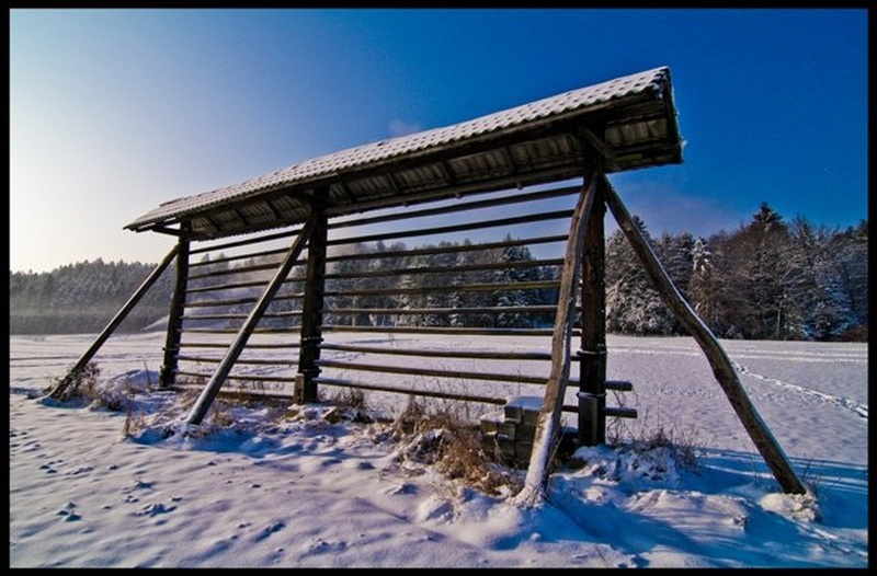 kozolc u preski by ioyellow