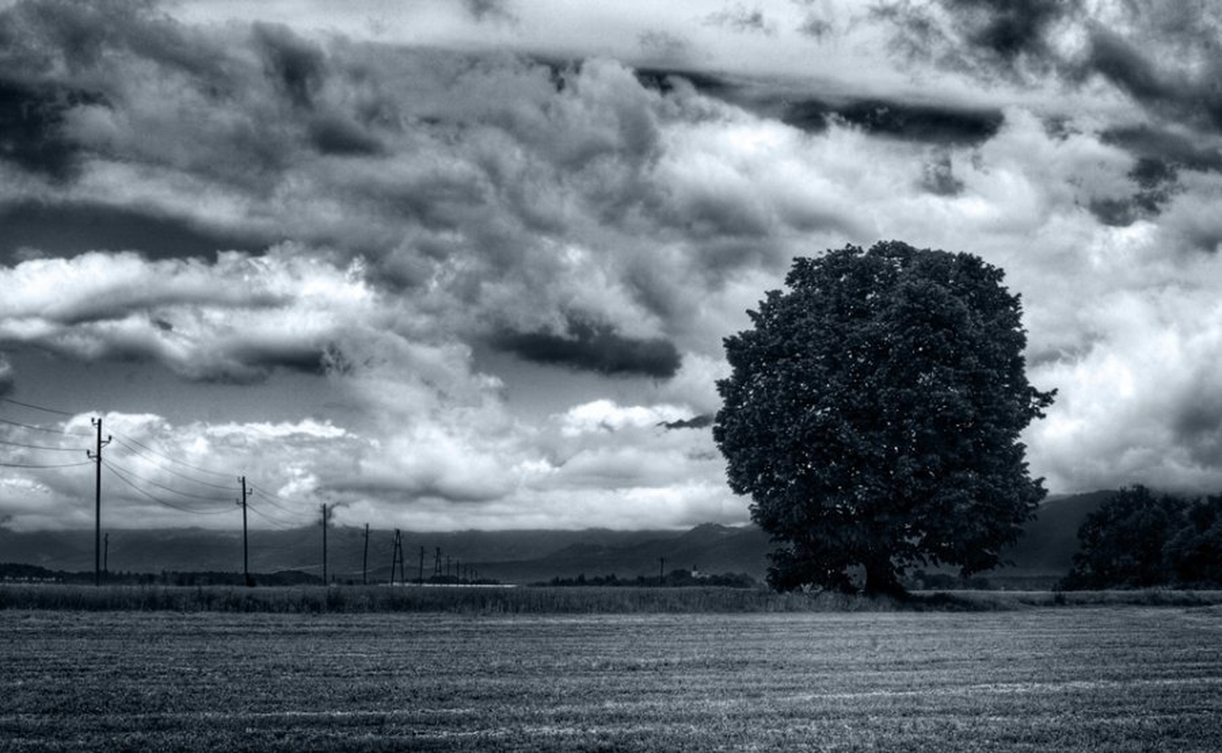 blue by Tine Bregar
