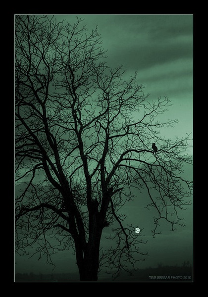 Witching hour by Tine Bregar