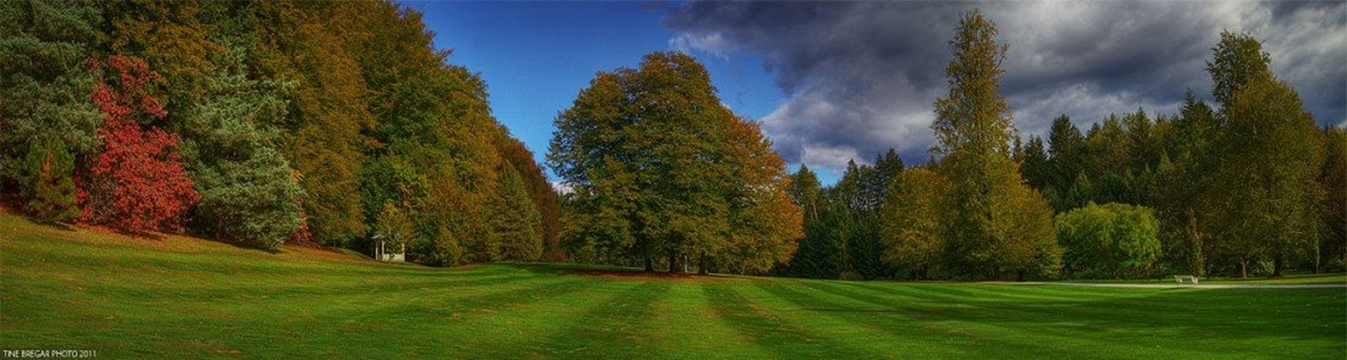 Park I by Tine Bregar