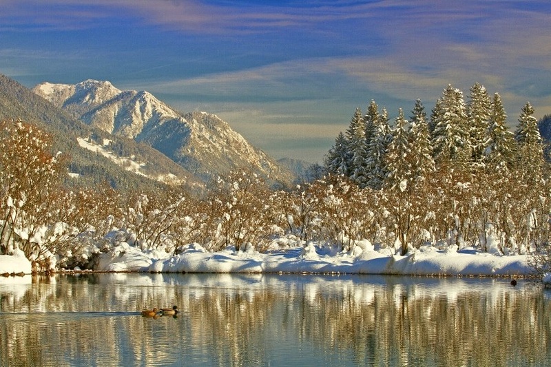 Zelenci by Matko Franc Brane