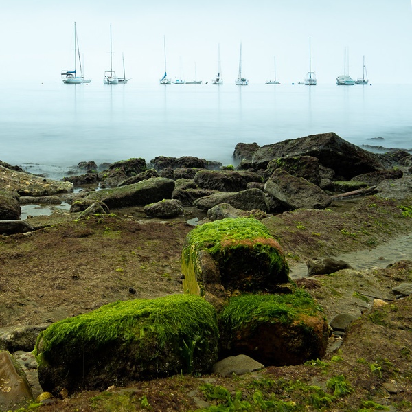 Sea Tales '14 by Marko