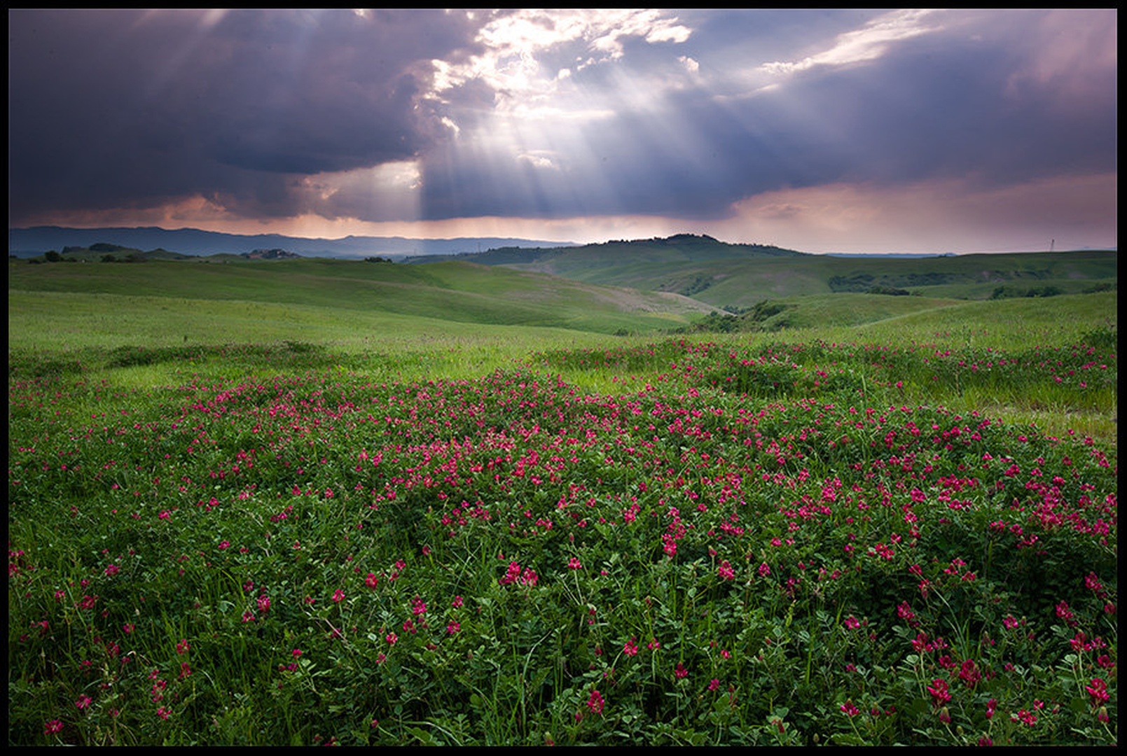 Tuscany dream by Marko