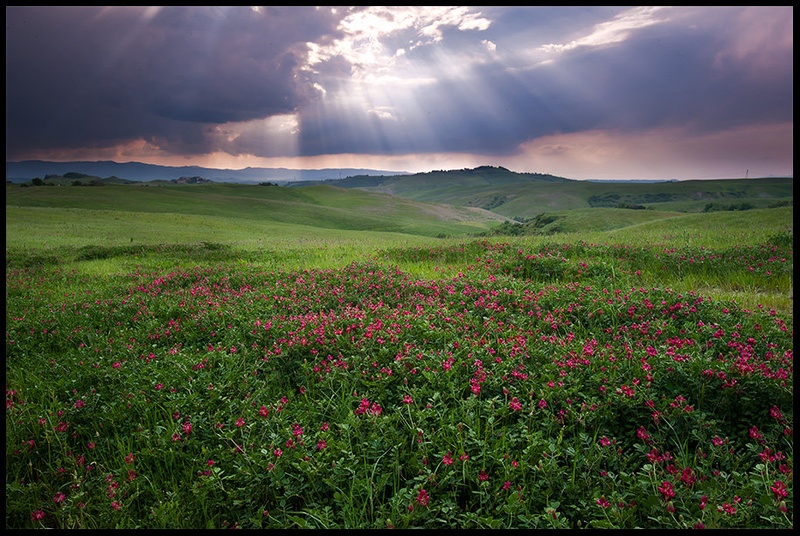 Tuscany dream by Marko