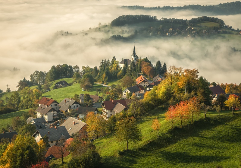 Javorje nad megleno dolino by Matjaž Guček