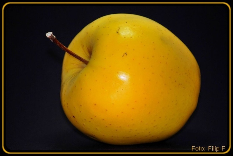 Apple by Filip Fabjancic