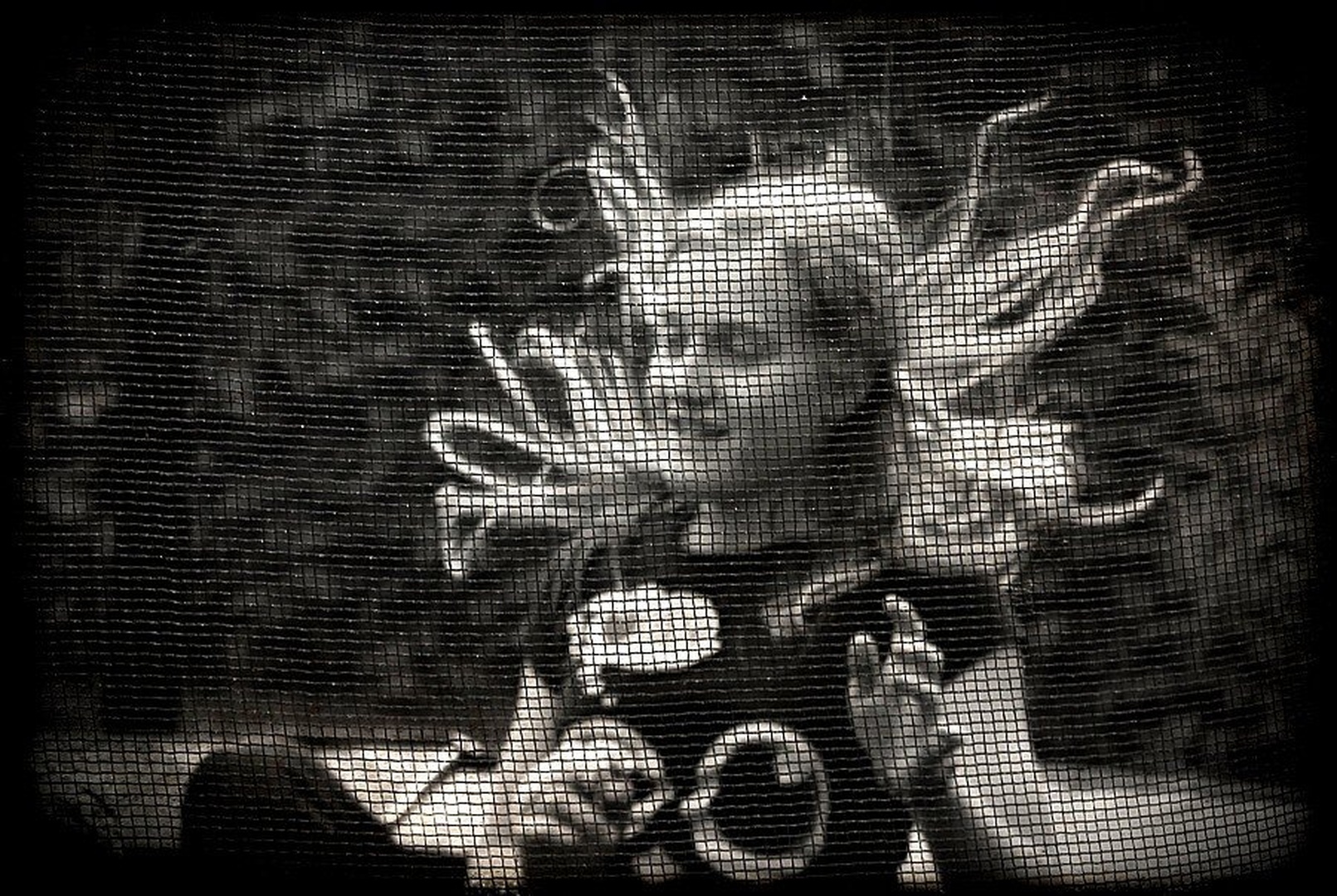 ...trampolin portret... by