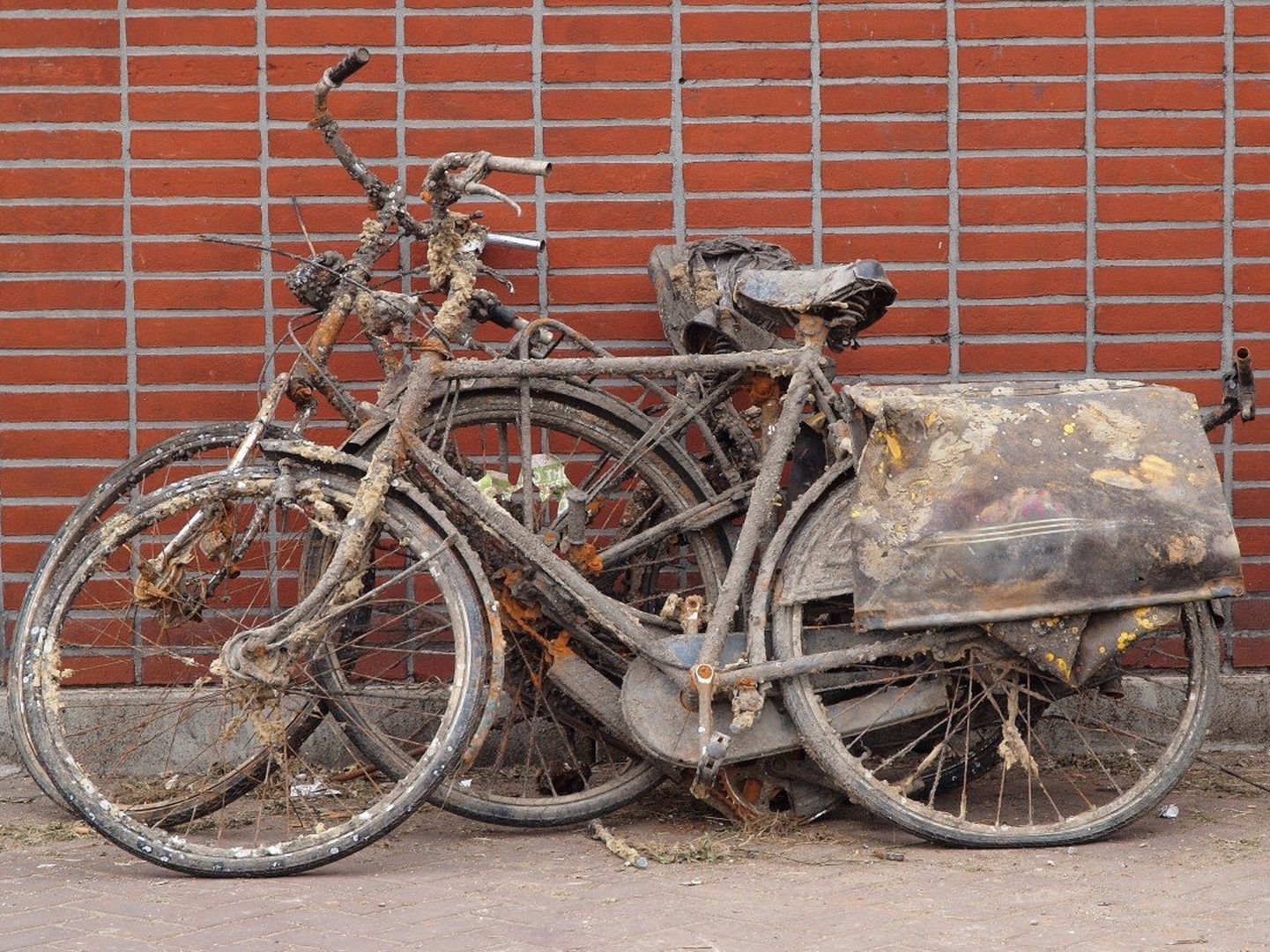 amsterdam street art by