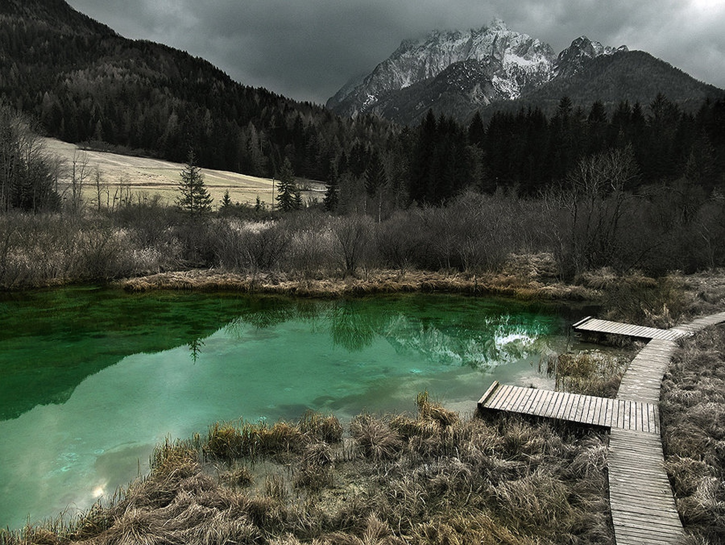 Zelenci by