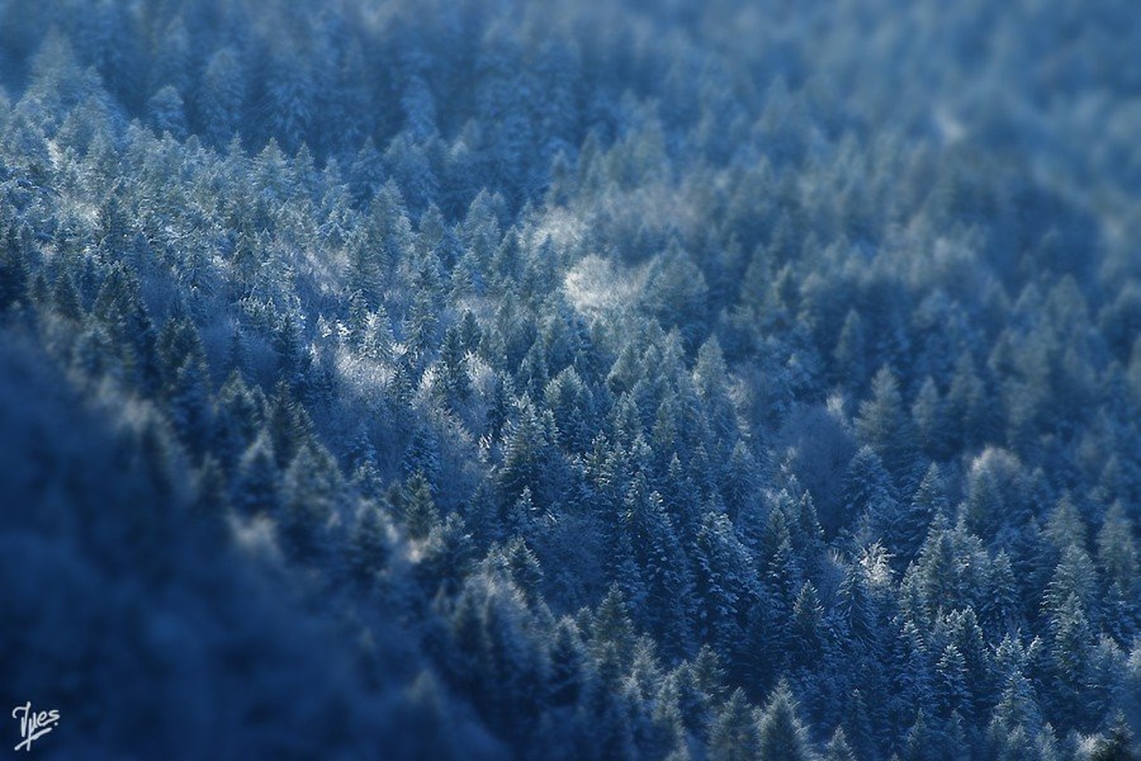 Spokojnost by