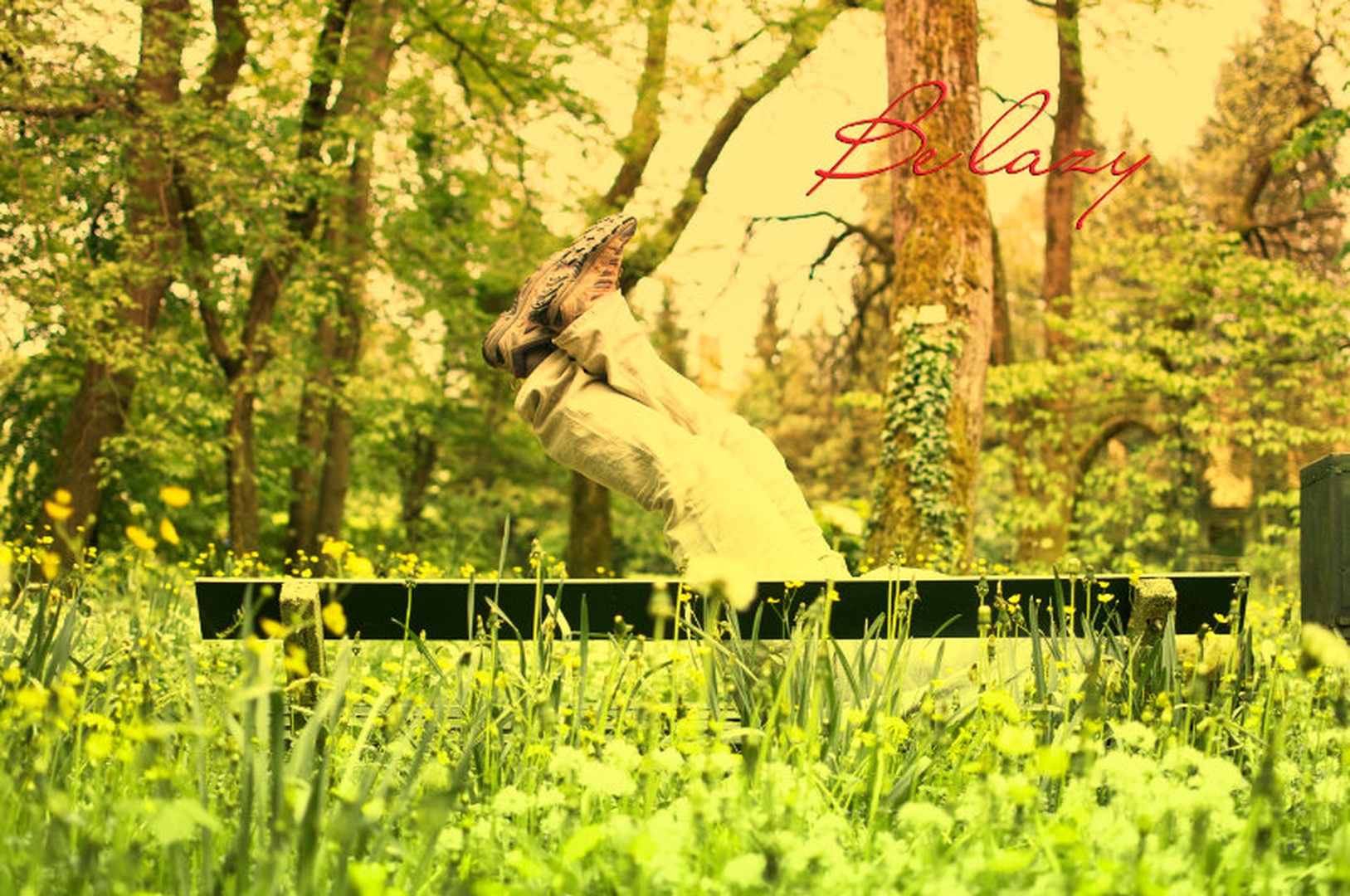 Be lazy by Sara